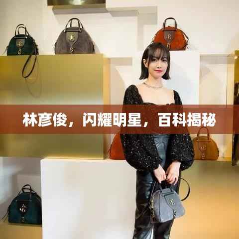 虫蚀鸟步 第4页