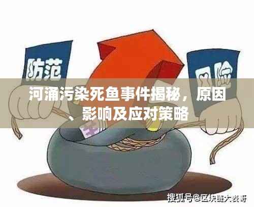 河涌污染死鱼事件揭秘，原因、影响及应对策略
