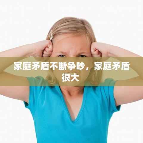 家庭矛盾不断争吵,家庭矛盾很大