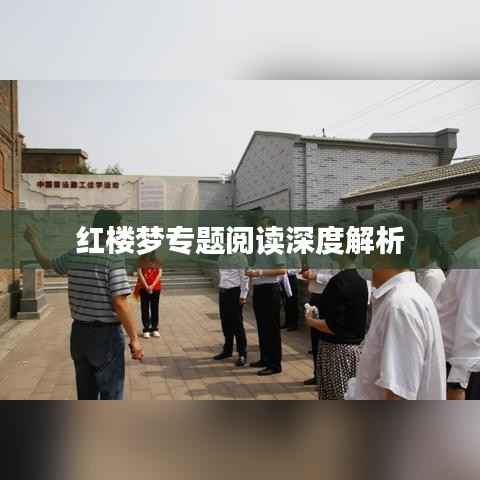 红楼梦专题阅读深度解析
