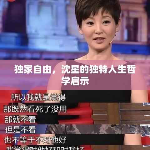 独家自由，沈星的独特人生哲学启示