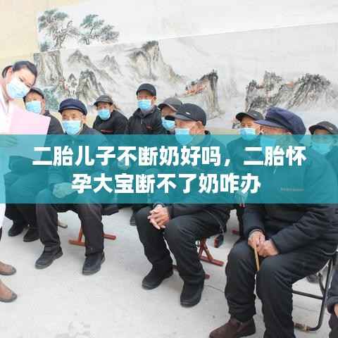 二胎儿子不断奶好吗，二胎怀孕大宝断不了奶咋办 