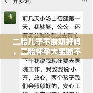 二胎儿子不断奶好吗,二胎怀孕大宝断不了奶咋办