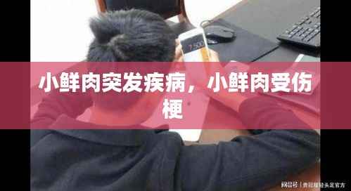 小鲜肉突发疾病，小鲜肉受伤梗 