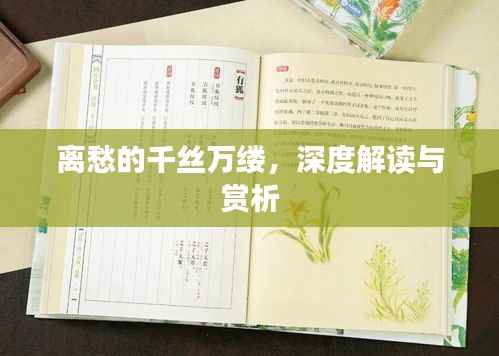 离愁的千丝万缕，深度解读与赏析