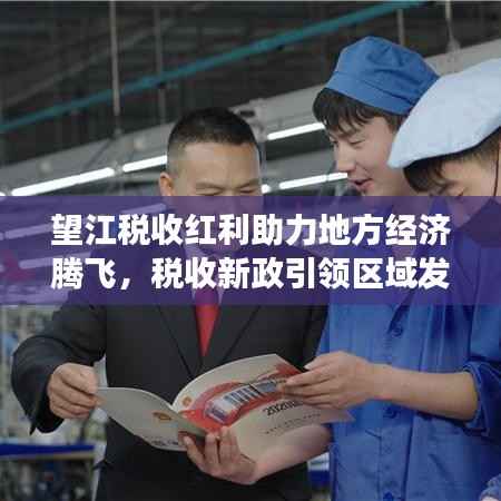 望江税收红利助力地方经济腾飞，税收新政引领区域发展新篇章