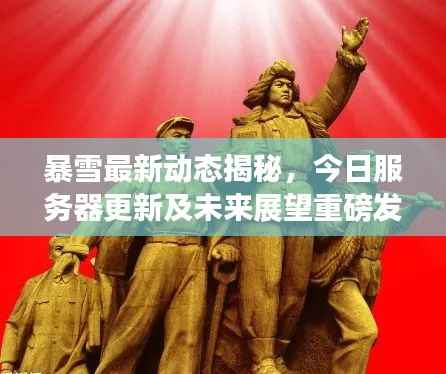 暴雪最新动态揭秘，今日服务器更新及未来展望重磅发布