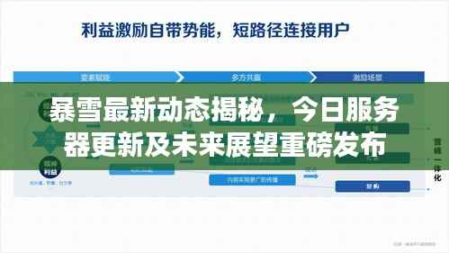 暴雪最新动态揭秘,今日服务器更新及未来展望重磅发布