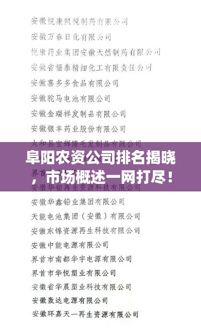 阜阳农资公司排名揭晓，市场概述一网打尽！