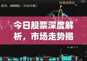 今日股票深度解析，市场走势揭秘与最新分析板！