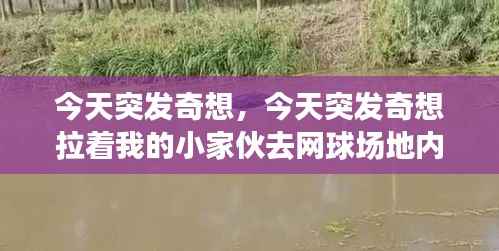 今天突发奇想,今天突发奇想拉着我的小家伙去网球场地内