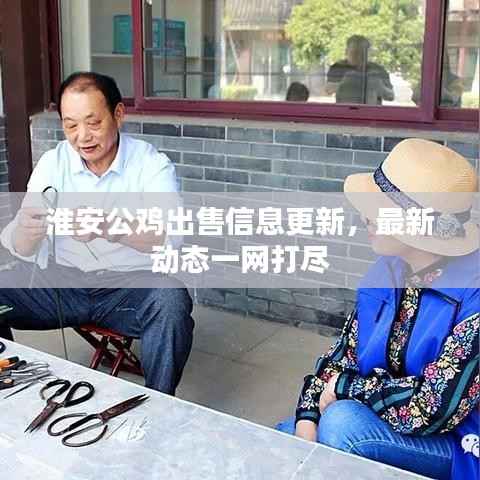 淮安公鸡出售信息更新，最新动态一网打尽