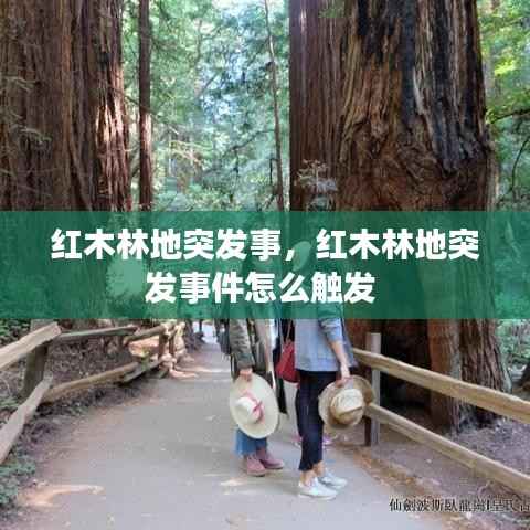 红木林地突发事，红木林地突发事件怎么触发 