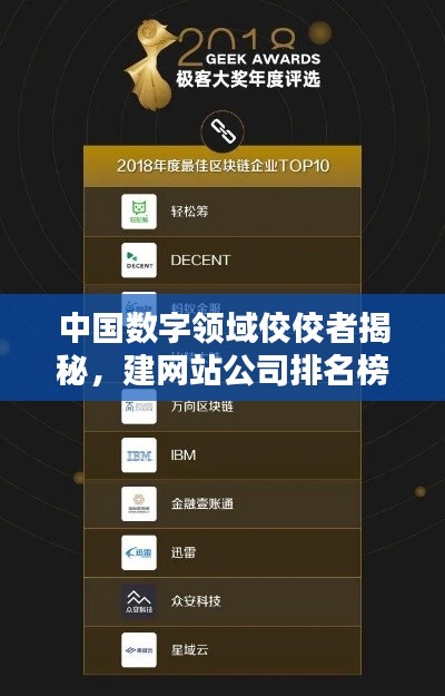 中国数字领域佼佼者揭秘，建网站公司排名榜单！