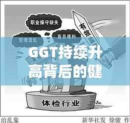 GGT持续升高背后的健康警钟，揭示真相，不容忽视