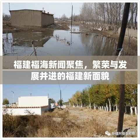 福建福海新闻聚焦,繁荣与发展并进的福建新面貌