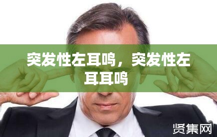 突发性左耳鸣，突发性左耳耳鸣 