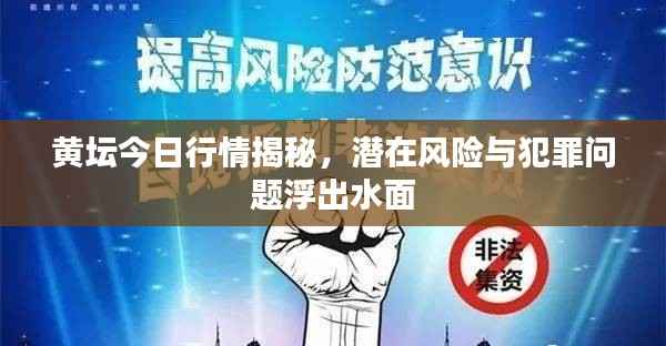 黄坛今日行情揭秘，潜在风险与犯罪问题浮出水面