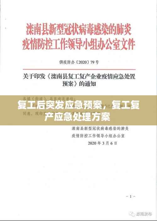 复工后突发应急预案，复工复产应急处理方案 