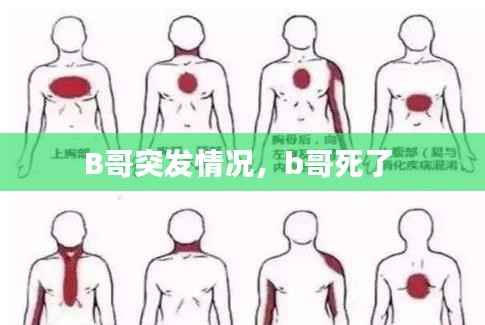 B哥突发情况，b哥死了 