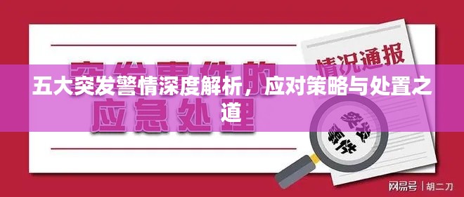 五大突发警情深度解析，应对策略与处置之道
