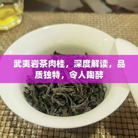 武夷岩茶肉桂，深度解读，品质独特，令人陶醉