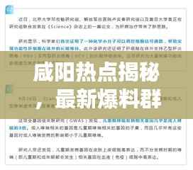 咸阳热点揭秘，最新爆料群，一手资讯掌握手中