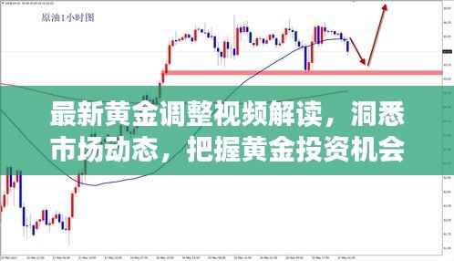 最新黄金调整视频解读，洞悉市场动态，把握黄金投资机会！