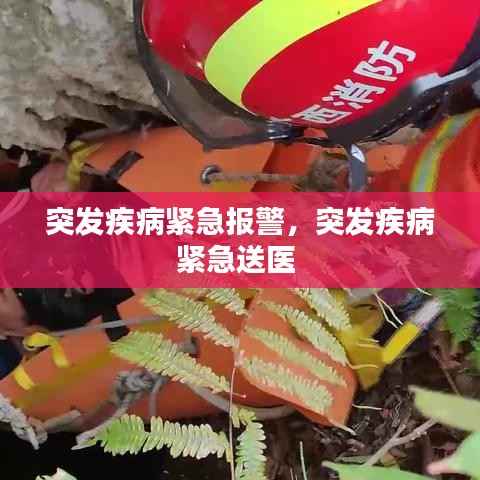 突发疾病紧急报警，突发疾病紧急送医 