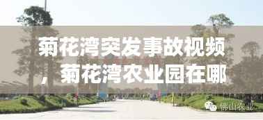 菊花湾突发事故视频，菊花湾农业园在哪里 