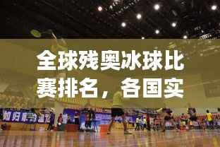 全球残奥冰球比赛排名,各国实力竞技比拼展现风采