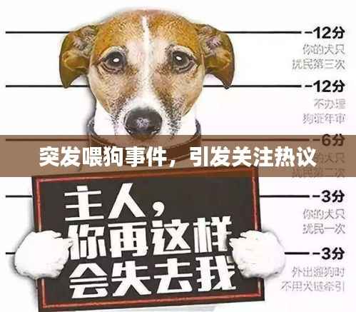 突发喂狗事件，引发关注热议
