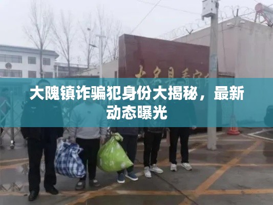 大隗镇诈骗犯身份大揭秘，最新动态曝光