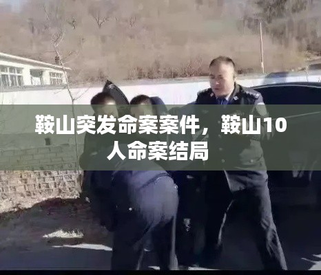 鞍山突发命案案件，鞍山10人命案结局 