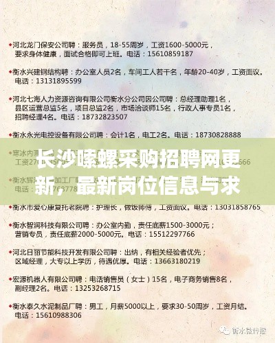 长沙嗦螺采购招聘网更新，最新岗位信息与求职指南揭秘