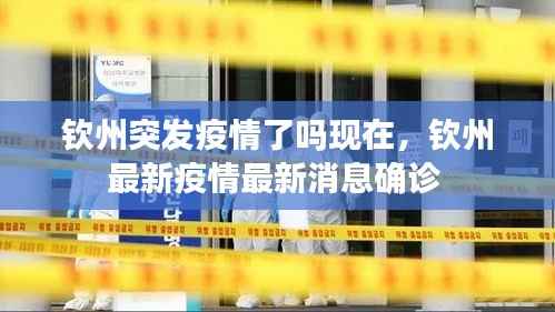 钦州突发疫情了吗现在,钦州最新疫情最新消息确诊