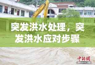 敷衍了事 第5页