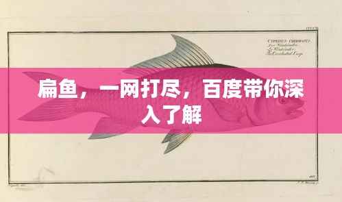 扁鱼，一网打尽，百度带你深入了解