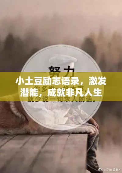小土豆励志语录，激发潜能，成就非凡人生