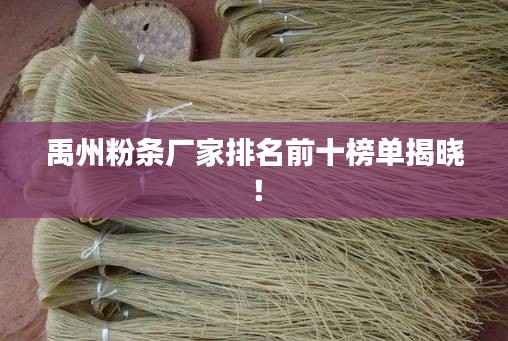 禹州粉条厂家排名前十榜单揭晓！