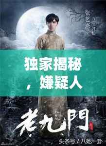 独家揭秘，嫌疑人小说中的罪案之谜探索