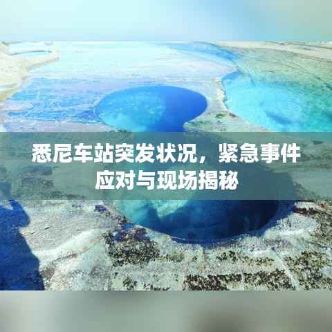 悉尼车站突发状况，紧急事件应对与现场揭秘