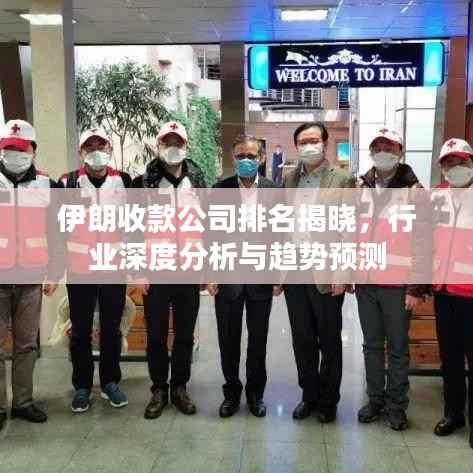 伊朗收款公司排名揭晓，行业深度分析与趋势预测