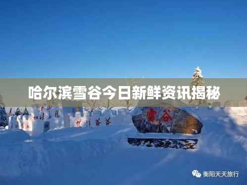 哈尔滨雪谷今日新鲜资讯揭秘