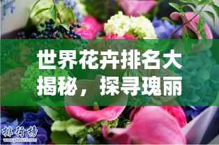 世界花卉排名大揭秘,探寻瑰丽多彩的花卉王国