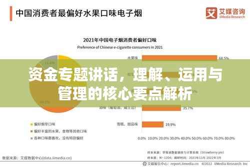 资金专题讲话，理解、运用与管理的核心要点解析