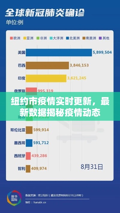 纽约市疫情实时更新，最新数据揭秘疫情动态