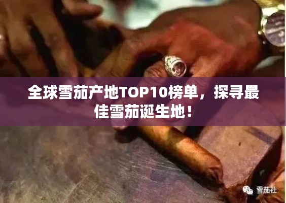 全球雪茄产地TOP10榜单，探寻最佳雪茄诞生地！