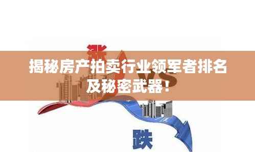 揭秘房产拍卖行业领军者排名及秘密武器！