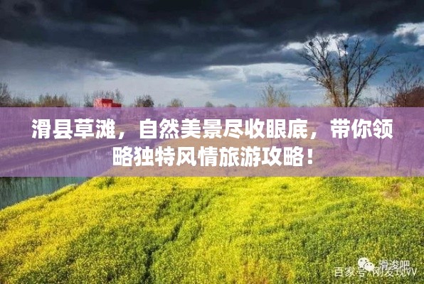 滑县草滩,自然美景尽收眼底,带你领略独特风情旅游攻略!